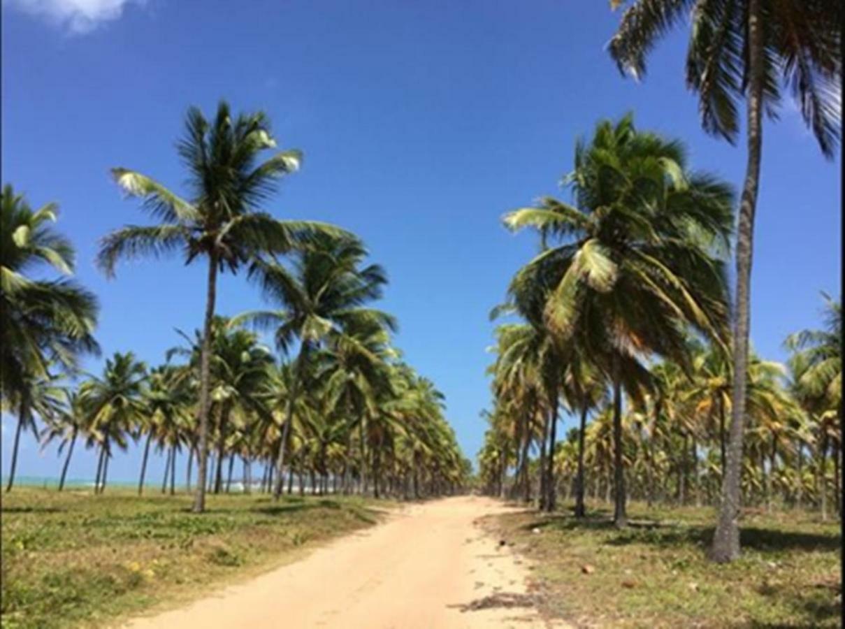 Pousada Da Monica Hotel Porto de Galinhas Bagian luar foto